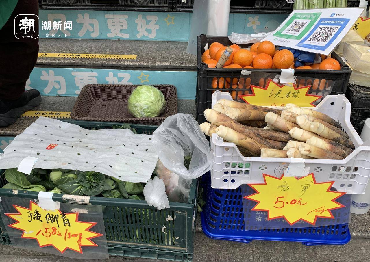 菜场里的春天：时鲜货降价，马兰头成新宠