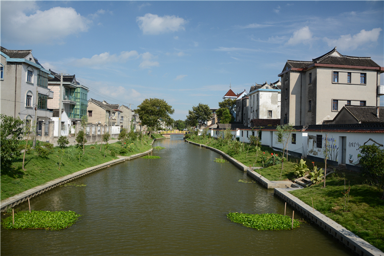 嘉兴平湖曹桥街道野马村.jpg