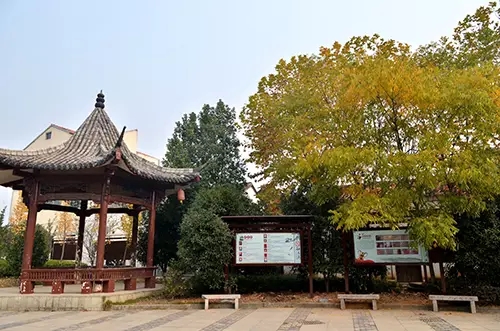 金华市金义都市新区傅村镇畈田蒋村.jpg