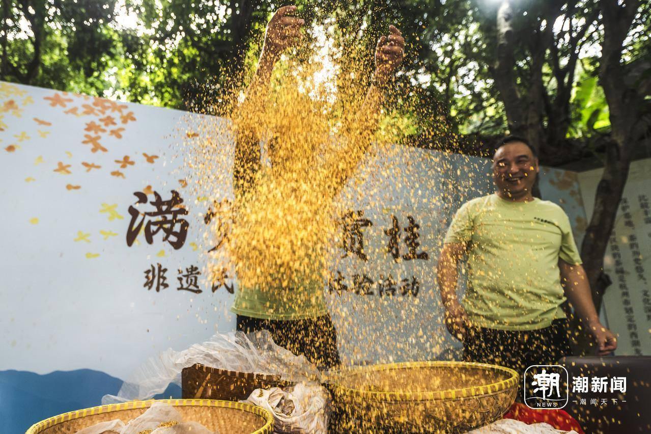 杭州满觉陇赏桂非遗民俗群众体验活动启幕