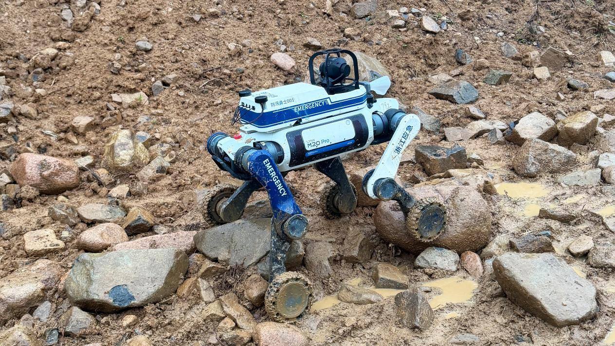 “AI防汛勇士”机器狗来了！已在杭州开展防汛演练