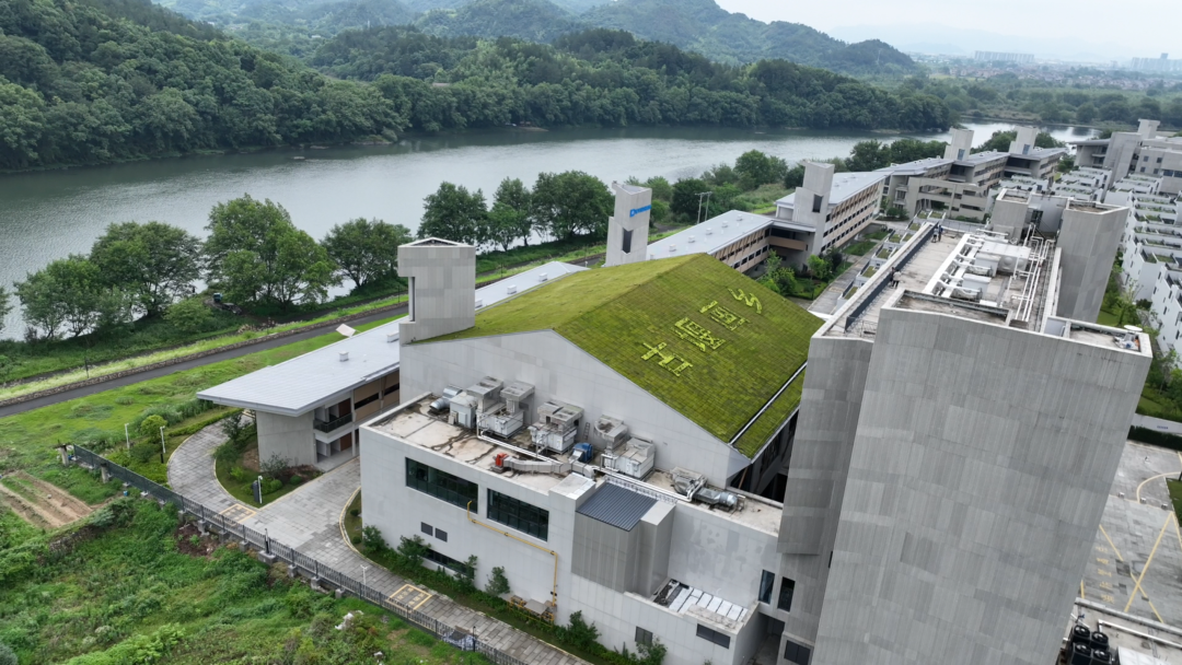 可降温8℃ 莲都古堰画乡打造1580平方米苔藓屋顶