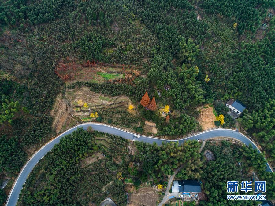 （美丽中国）（7）浙江：美丽山村成为乡村旅游“金名片”