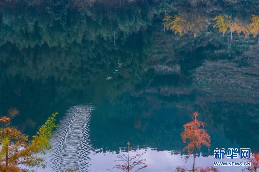 （美丽中国）（9）浙江：美丽山村成为乡村旅游“金名片”