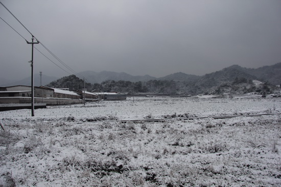 楼塔镇以雪为令，三百多党员干部群众清雪防灾保畅通