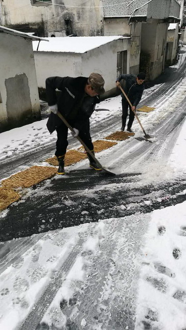 楼塔镇以雪为令，三百多党员干部群众清雪防灾保畅通