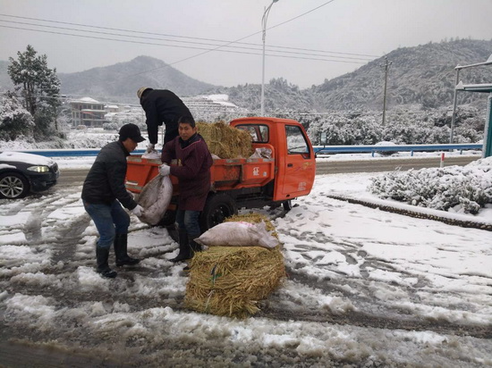 楼塔镇以雪为令，三百多党员干部群众清雪防灾保畅通