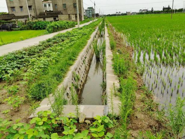 平湖农开6500米生态沟渠“会呼吸” 为美丽城镇增添美丽景观——浙江在线