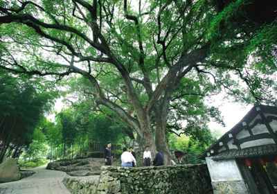 温州永嘉埭头村.jpg