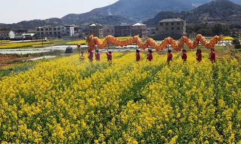 舟山定海毛竹山社区