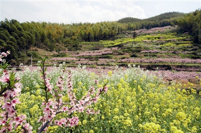 桃花含笑春风里 富阳半山桃花节开幕了